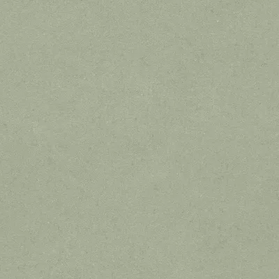 足球新闻